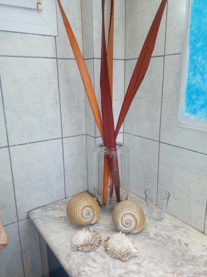 Oasis Apartment Nea Michaniona Bagian luar foto